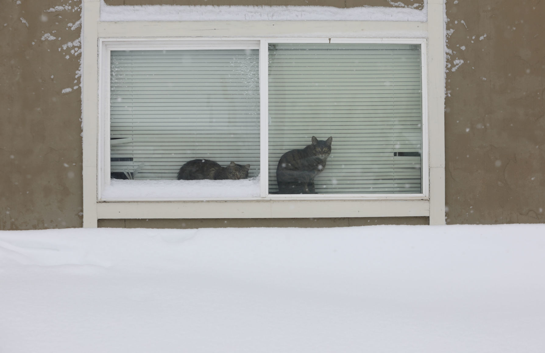 Winter Storm